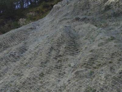 主動(dòng)防護(hù)網(wǎng)